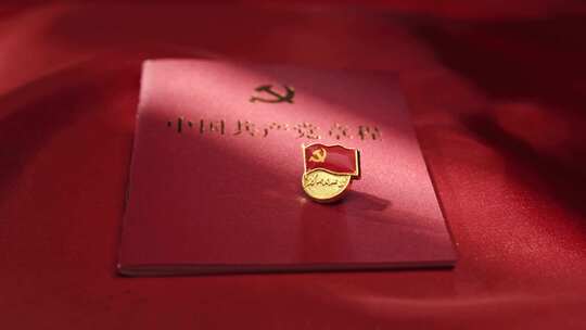 党红色旗红旗党政党建党徽党 新党徽胸章