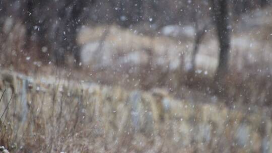 大雪纷飞中的山野道路和石墙视频素材模板下载