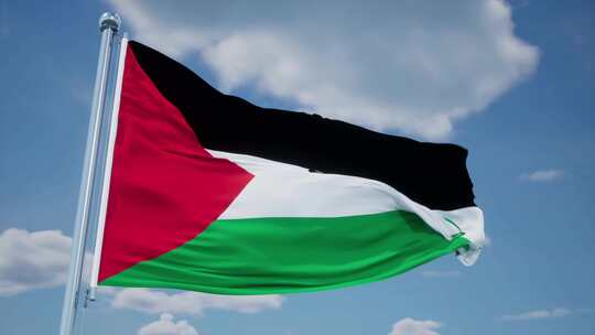 巴勒斯坦旗帜视频素材模板下载