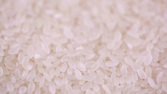 大米水稻米饭