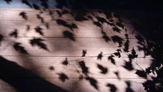 木板上的阳光与树叶的影子慢动作升格拍摄