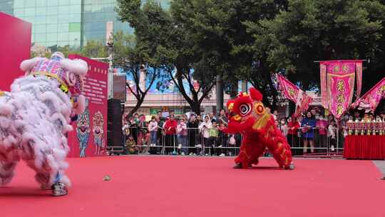 舞狮醒狮传统节日表演