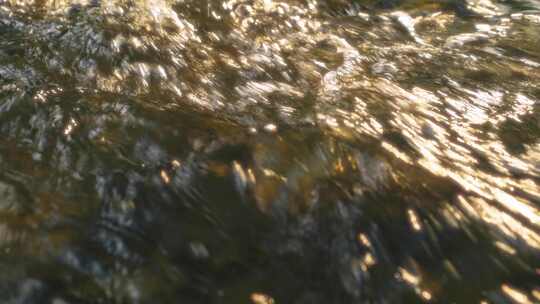 石间流动的清澈溪水