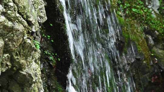 夏天森林里岩石小溪溪流瀑布流水