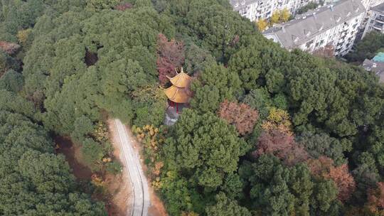 航拍湖北宜昌西陵区现代化城市建设