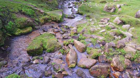 黑龙江伊春金山鹿苑山涧小溪风景