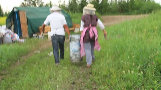 呼伦贝尔乡村蜂农在养蜂场采蜜作业