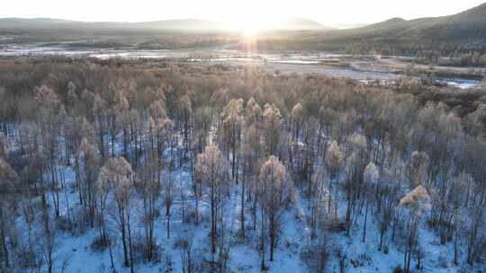 雪原阳光树林唯美雾凇