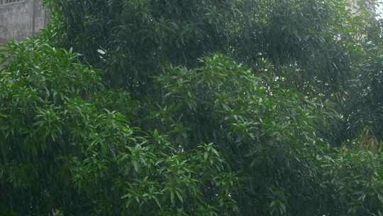 下雨谷雨雨季梅雨