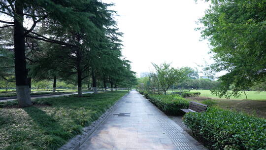 武汉青山和平公园境内园林视频素材模板下载