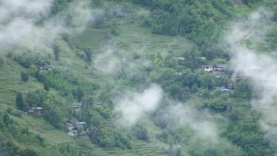 四川农村老屋青瓦房烟火气