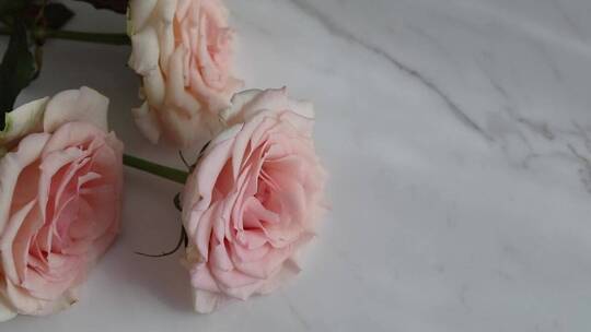 大理石桌子上的三朵粉红玫瑰