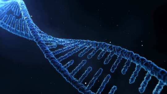 人体DNA染色体医学研究