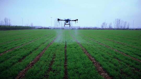 无人机飞防 无人机麦田喷药 春耕 现代农村