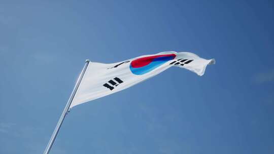 韩国旗帜视频素材模板下载