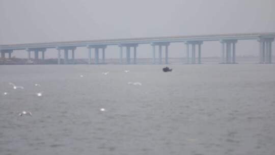 海上海鸥飞翔海边景色大自然大海风景