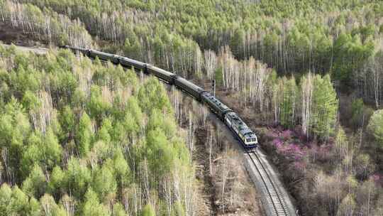 穿越大兴安岭森林的旅客列车