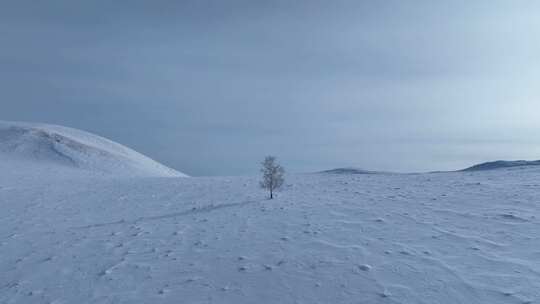 无人机拍摄呼伦贝尔大雪原