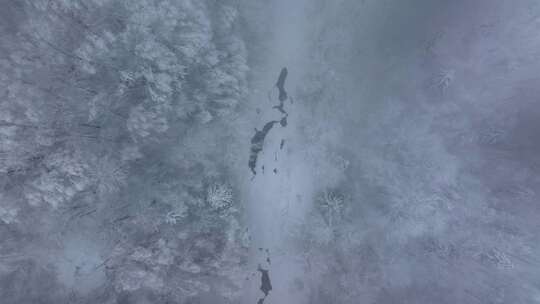 东北冬天暴雪大雪中的林海雪原