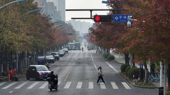 杭州钱塘区学林街秋景航拍