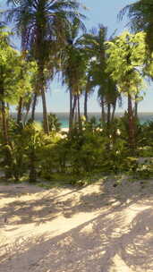 热带海滩与椰子棕榈树