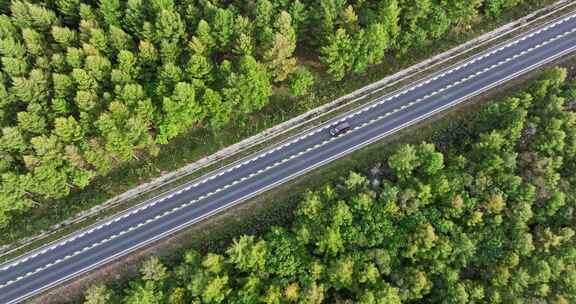 森林里的公路