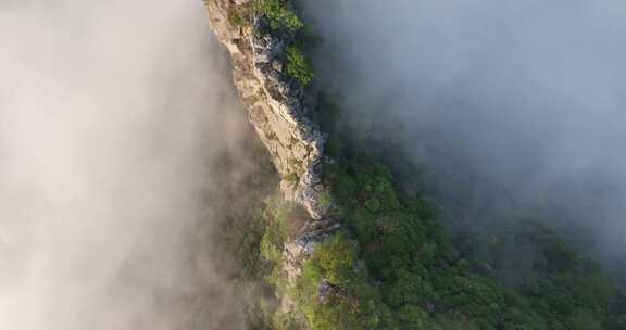 云雾缭绕的悬崖与森林景观