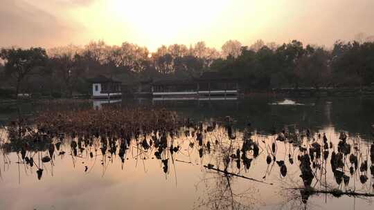 阳光和湖泊的景色