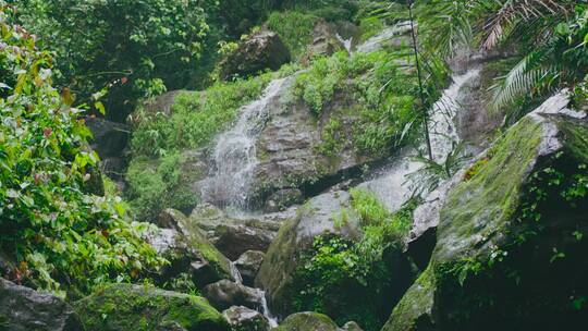 森林溪流河水下雨水资源风景小溪山涧视频素材模板下载