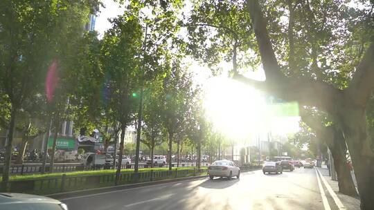 西安友谊路梧桐树唯美阳光穿过树叶光斑视频素材模板下载