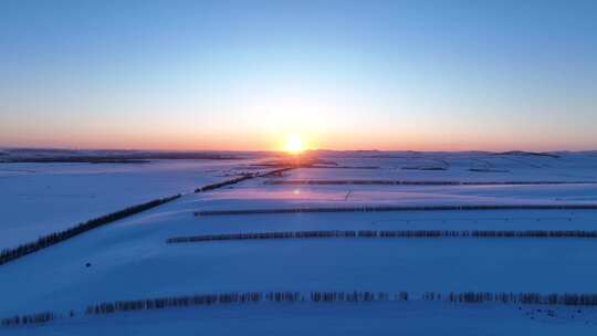 雪后垦区田野夕阳时的唯美时刻