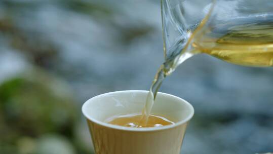 4k普洱茶茶芽采茶摊晾制茶泡茶茶汤倒茶水