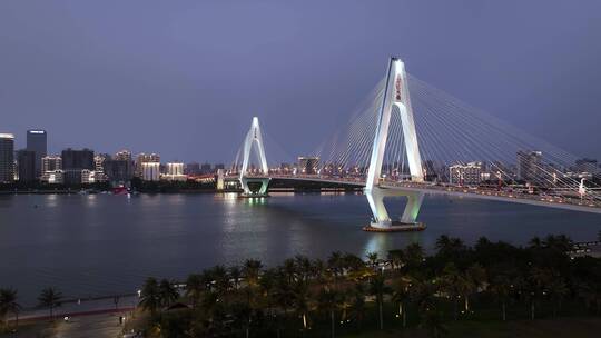 海口世纪大桥夜景航拍视频素材模板下载