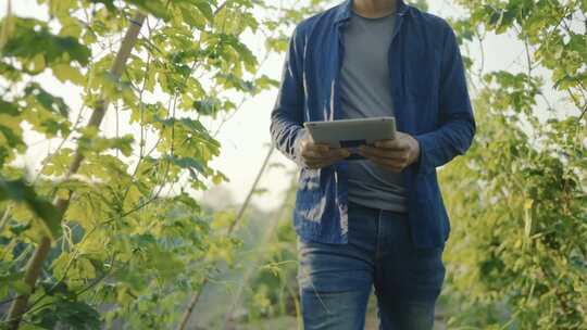 科技农业农民正在记录生长数据视频素材模板下载
