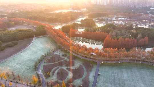 上海世纪公园秋天  秋天风景