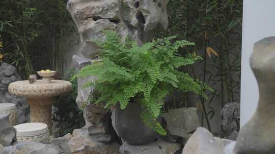 中式庭院绿植景观