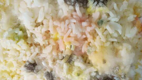 一种有明显霉菌和真菌生长的煮熟的米饭。