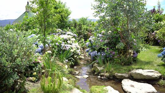 绣球花花园公园景区景点