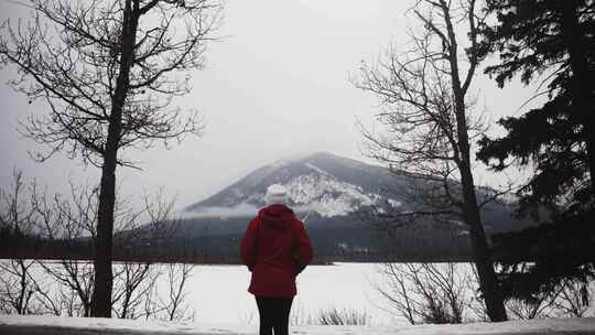 女人，雪，加拿大，松树