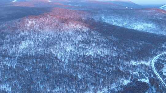 夕阳下的大兴安岭高山雾凇