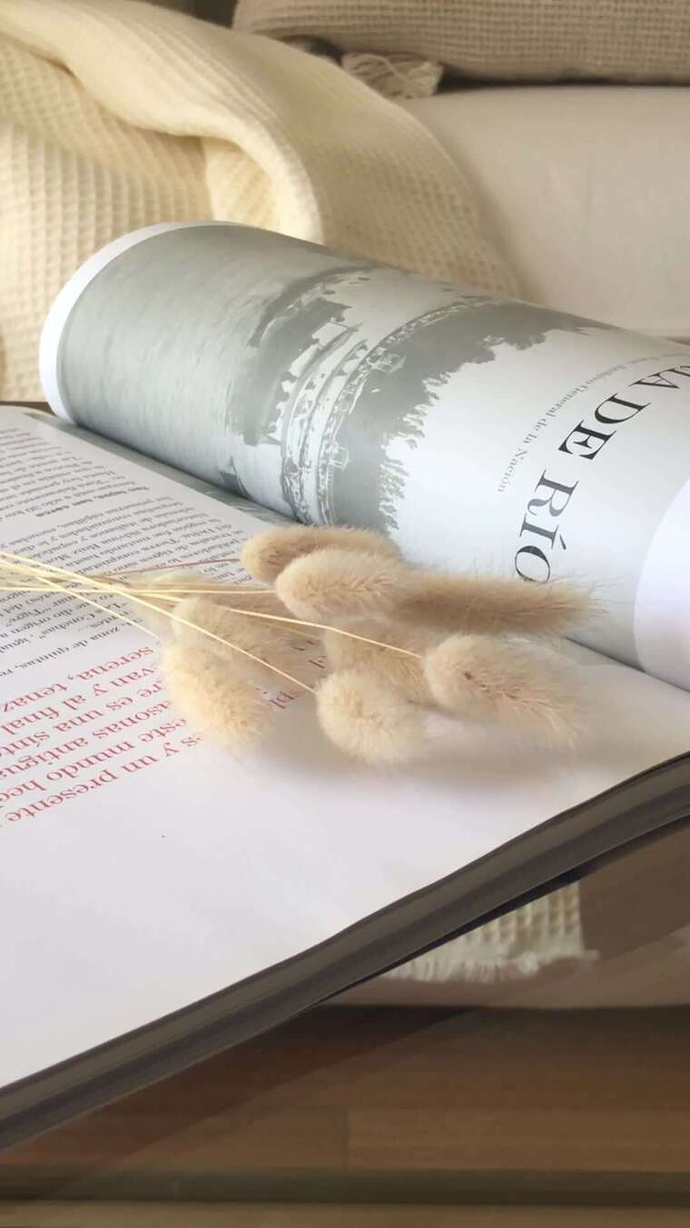 打开的书上的一束蓬松的干花