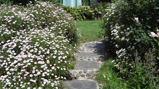 【精品】花园民宿房子花房