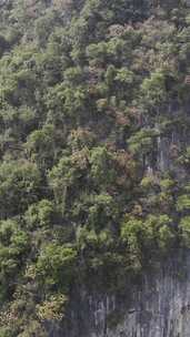 竖版航拍广西桂林山水甲天下哈斯特地貌奇山