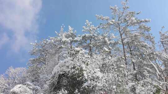 韶山雪景雪后韶山