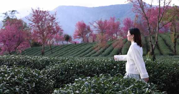 在樱花茶园里放松休闲度假的美女唯美慢镜头