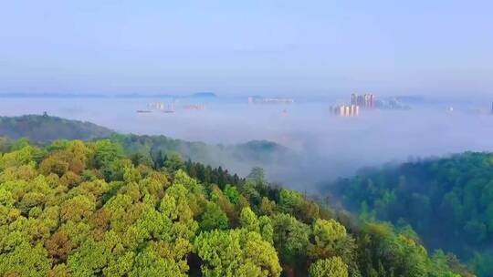 云层上的风景，山林秘境惹了聚雨，大自然