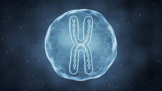 高科技医疗细胞XY染色体研究3D展示动画