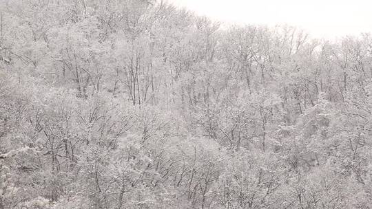 冬季北方冰雪风景