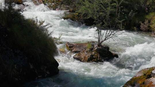 川西稻城景区山间树林小溪湍流