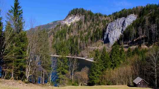 高山树林风景风光美景梦幻唯美